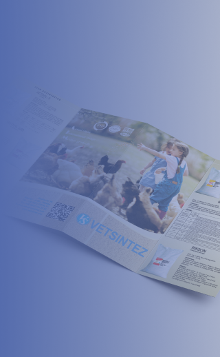 Печать буклета